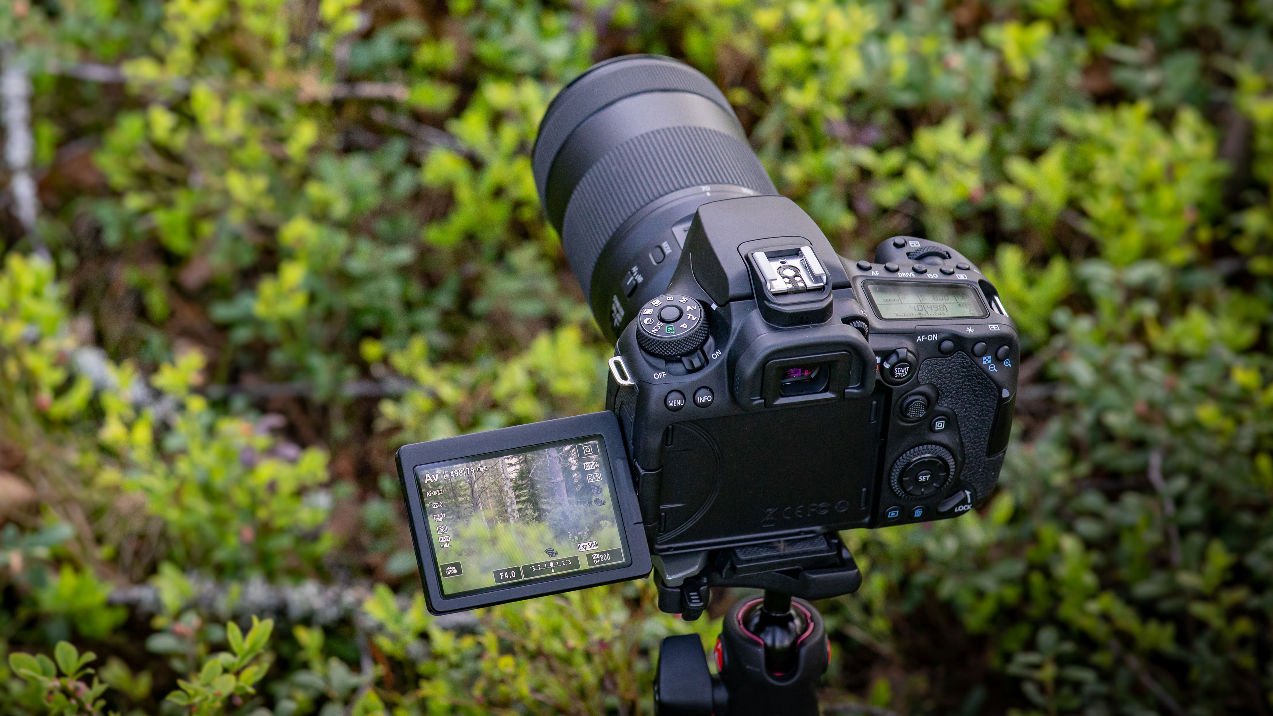 How to Choose a DSLR Camera: Best Buying Guide 2021