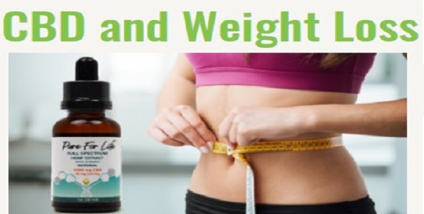 Cbd Products For Weight Loss