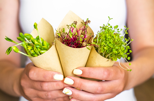 Microgreens Market Revenue: With Top Companies, Regional Statistics, and Forecast 