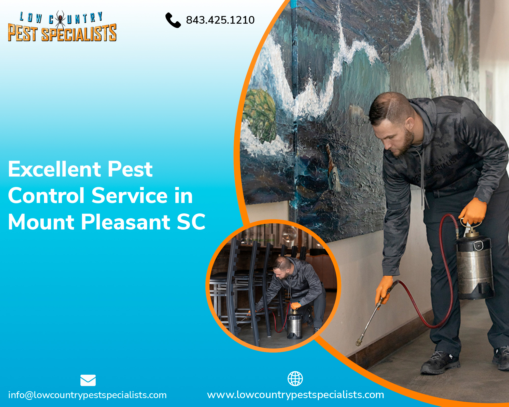 Excellent Pest Control Service in Mount Pleasant SC