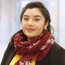 Andamio Multidireccional