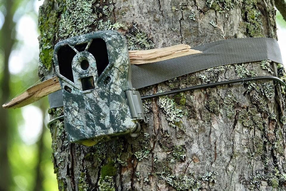 Tips For Selecting Best Wild Game Trail Camera