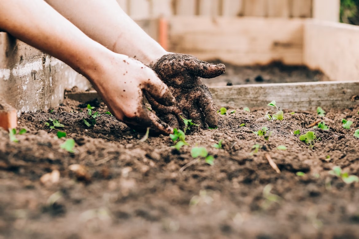 How To Start a Herb Garden in a Small Space