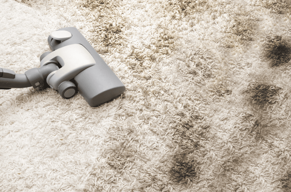 Carpet Mould Removal Sydney