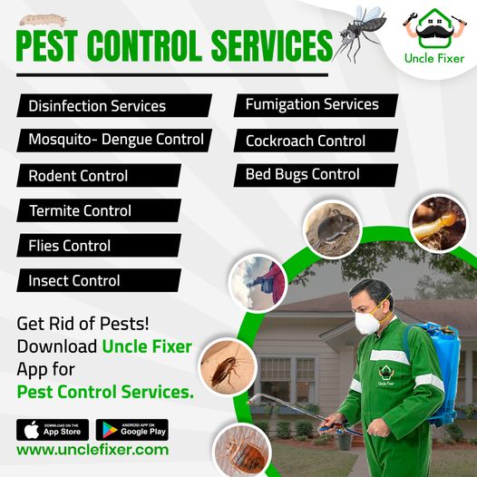 Pest Control Services| Bed Bug Treatment – Uncle Fixer 