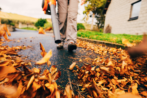 Low-Maintenance Commercial Landscaping Ideas