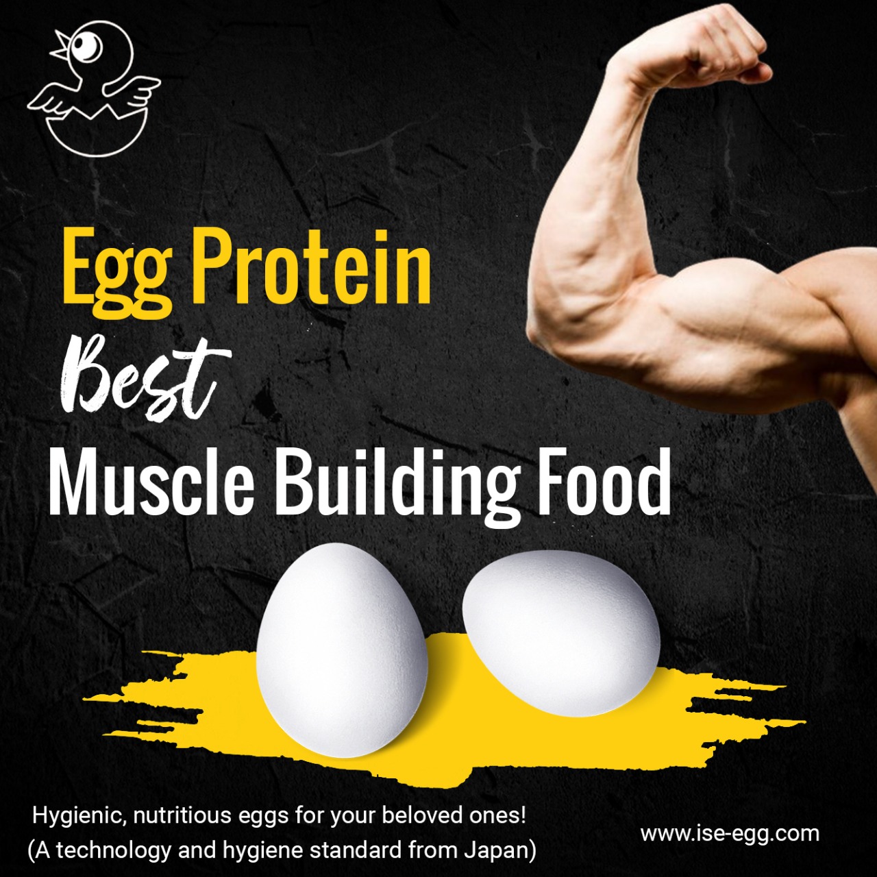 7 ways eggs can help in building muscles