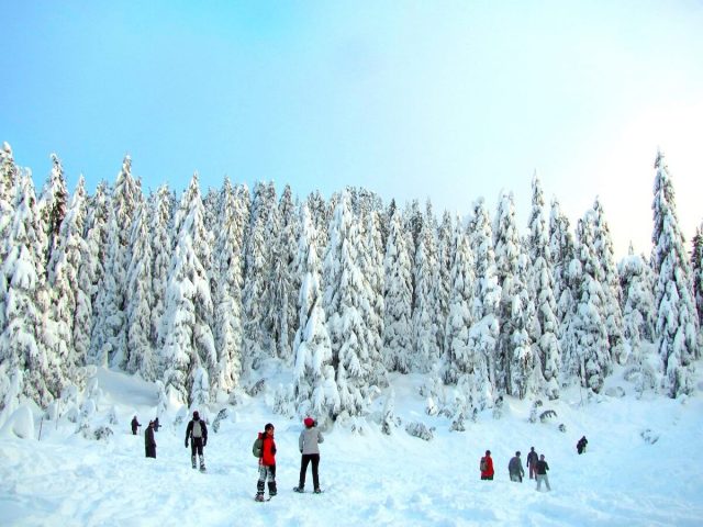 Life Insurance in Vancouver