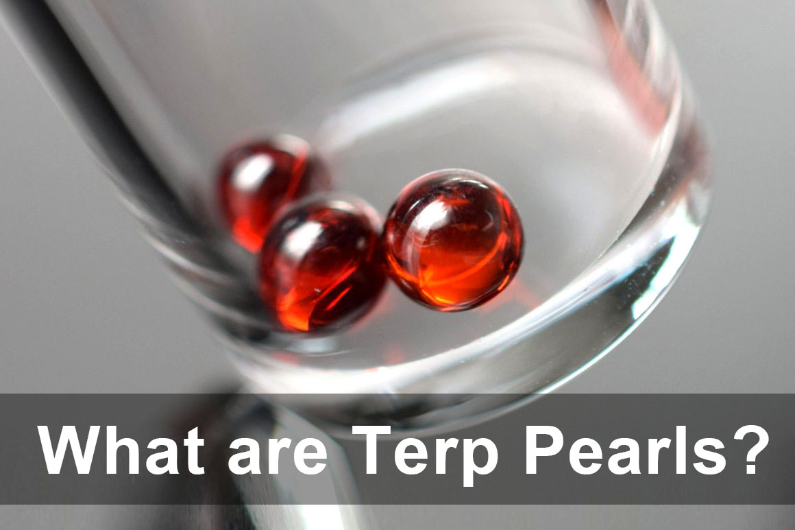 The Ultimate Guide to Terp Pearls