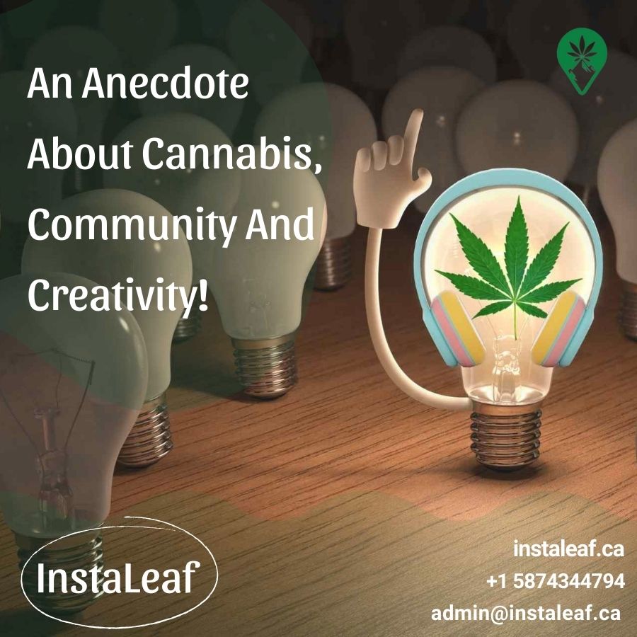 An Anecdote About Cannabis, Community And Creativity