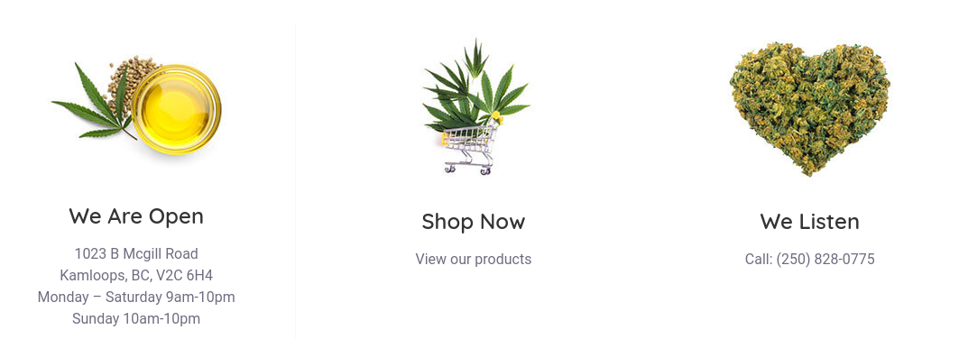 Know About the Four Major Types of Marijuana