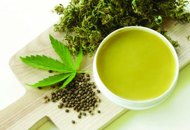 Choosing Your Go-To Cannabis Store – What You Need to Know