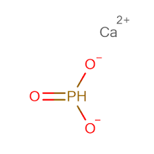 Calcium Phosphite Market Overview By Product Types, Applications & Top Key Vendors With Forecast, To 2028