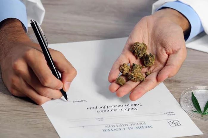 How Medical Marijuana Doctors In California Will Help You