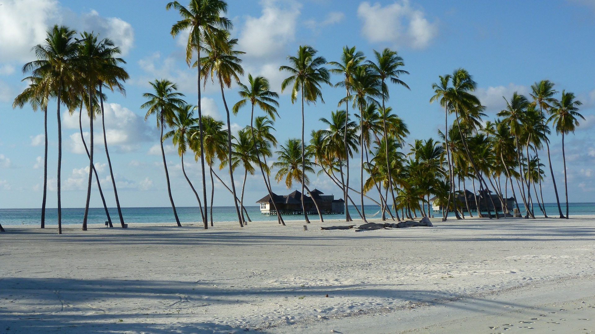 Maldives Package from india