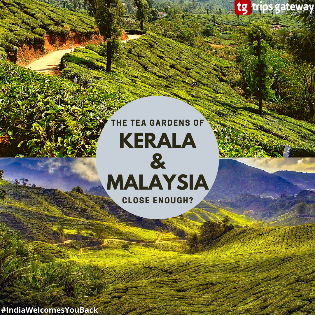 Kerala Tour Package