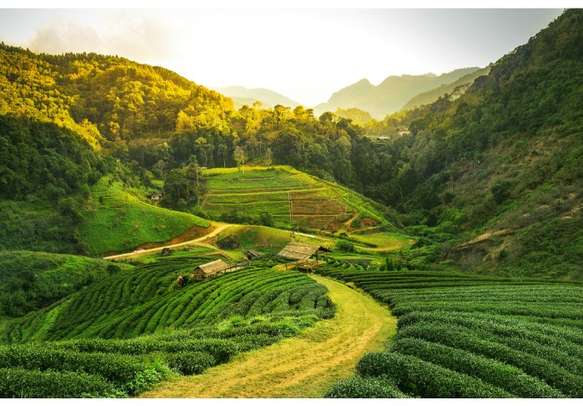 Assam Holiday Package