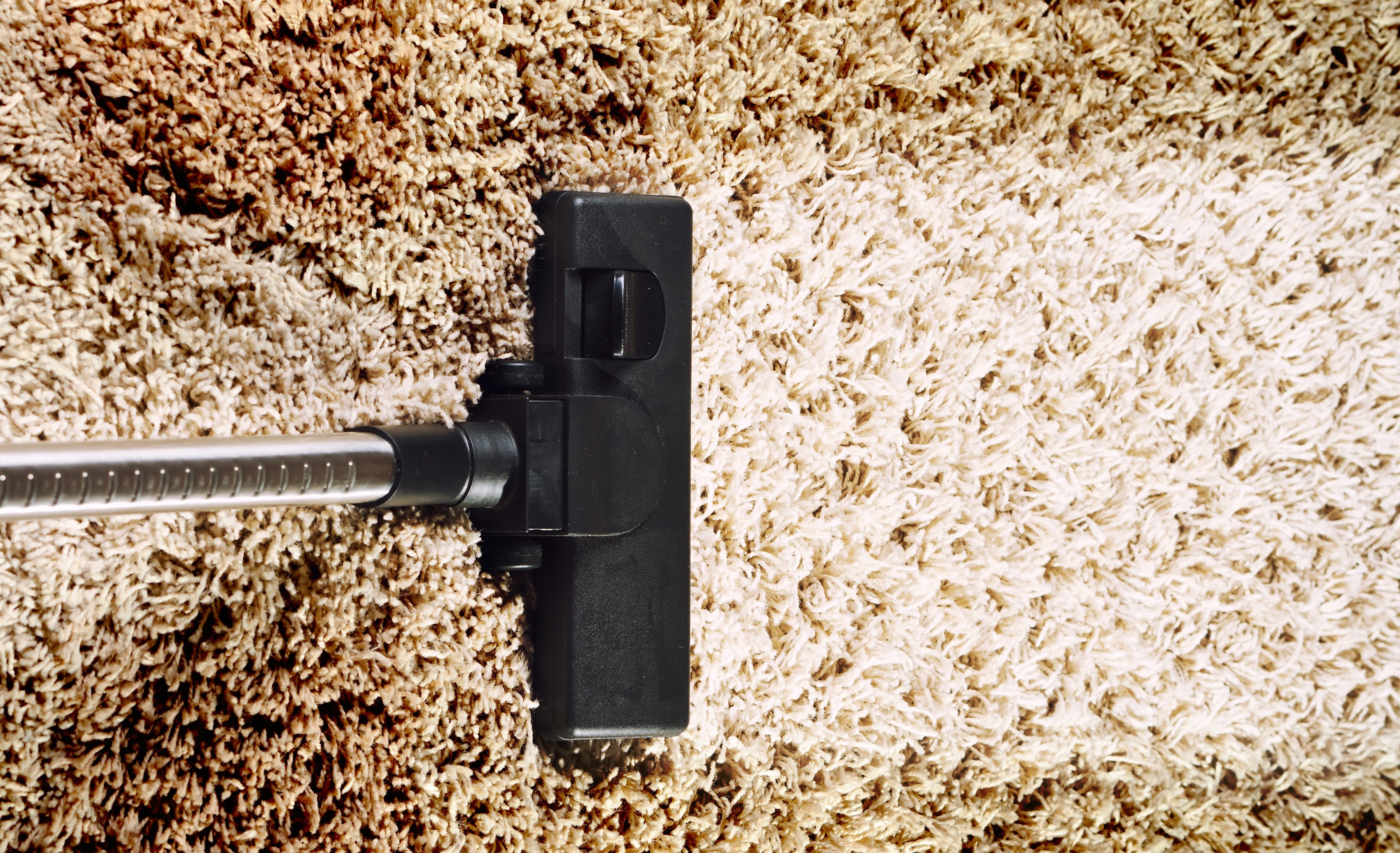 Carpet Mould Removal Canberra