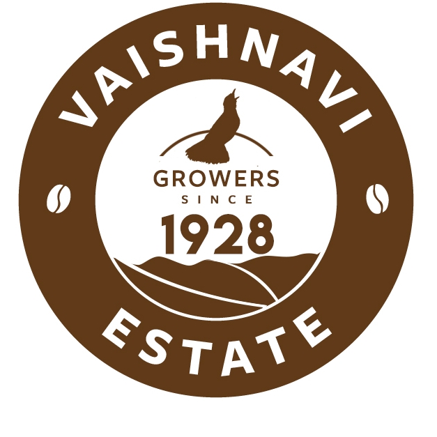 Best Coffee Beans in South