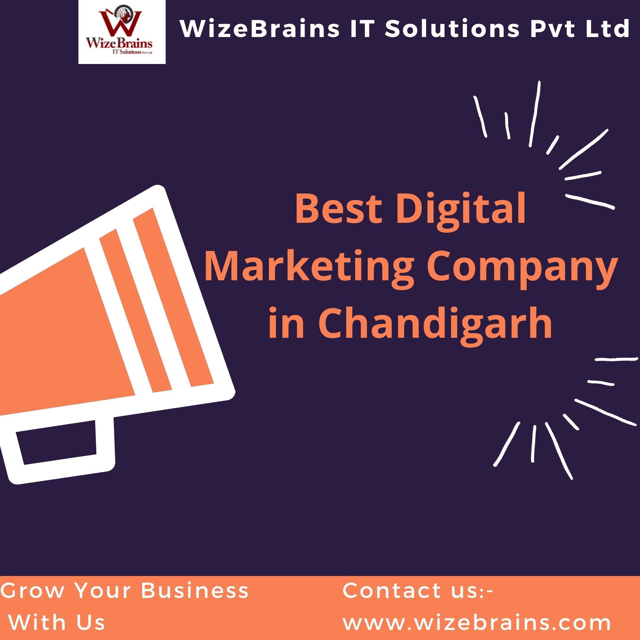 Best Digital Marketing Company in Chandigarh