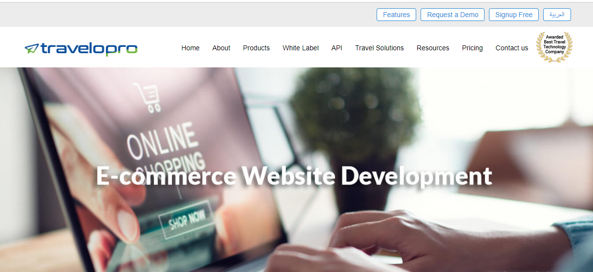 Ecommerce Website Development 