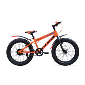 Viva Bikes - Best Bicycle for Kids