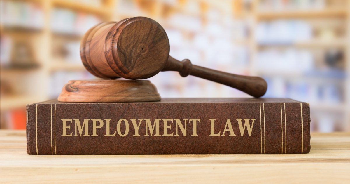 Employment Contracts 101: Why Consulting an Employment Lawyer Is Crucial