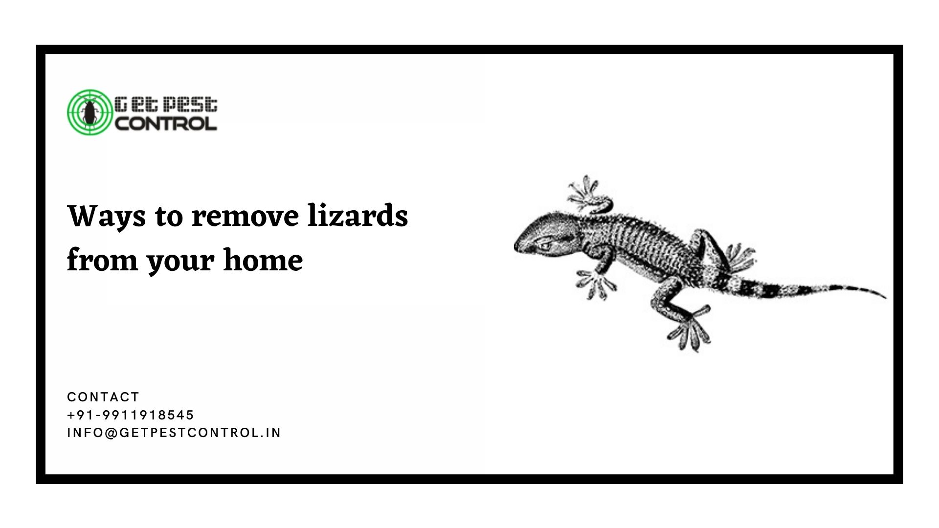 WAYS TO REMOVE LIZARDS FROM YOUR HOME