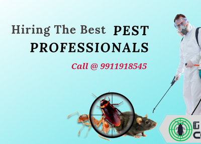 Which One Is Best, Organic Pest Control Or Chemical Pest Control Technique?