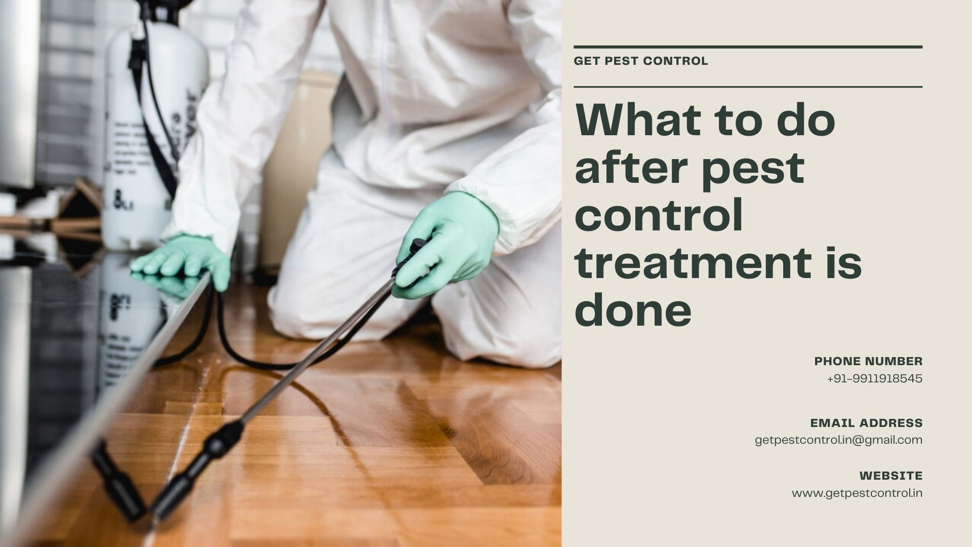 What to do after pest control treatment is done