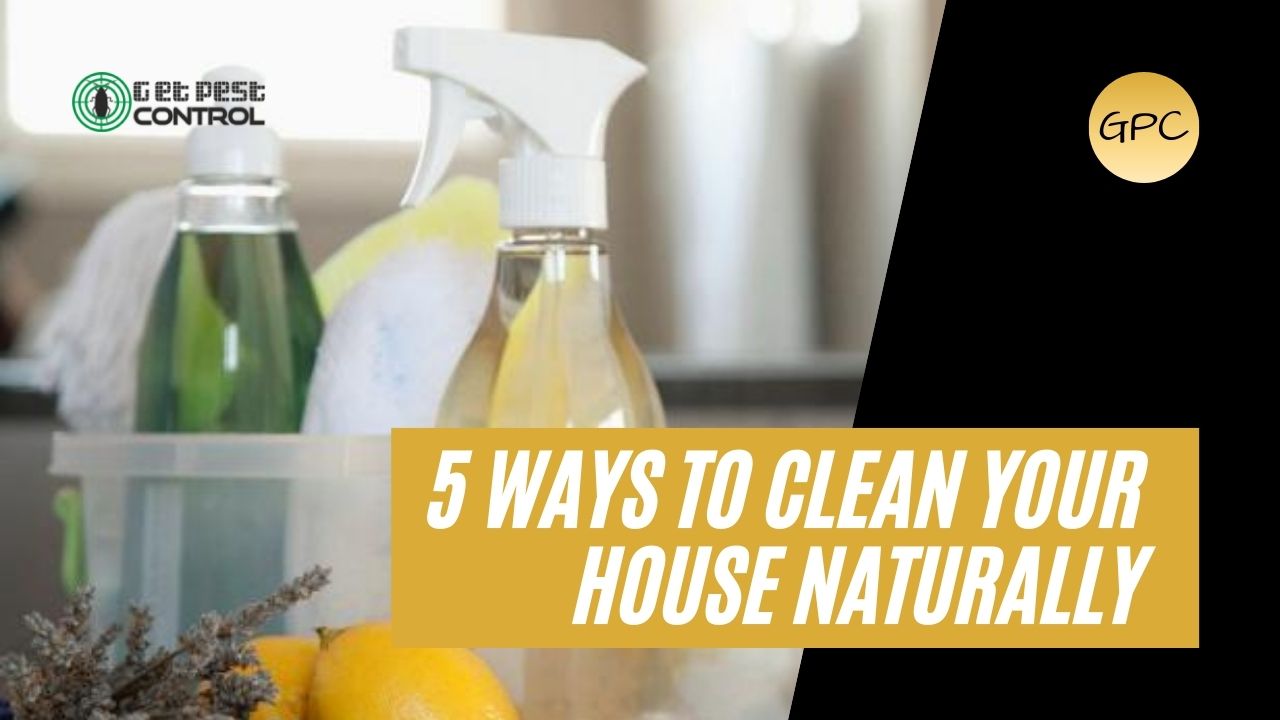 5 ways to clean your house naturally