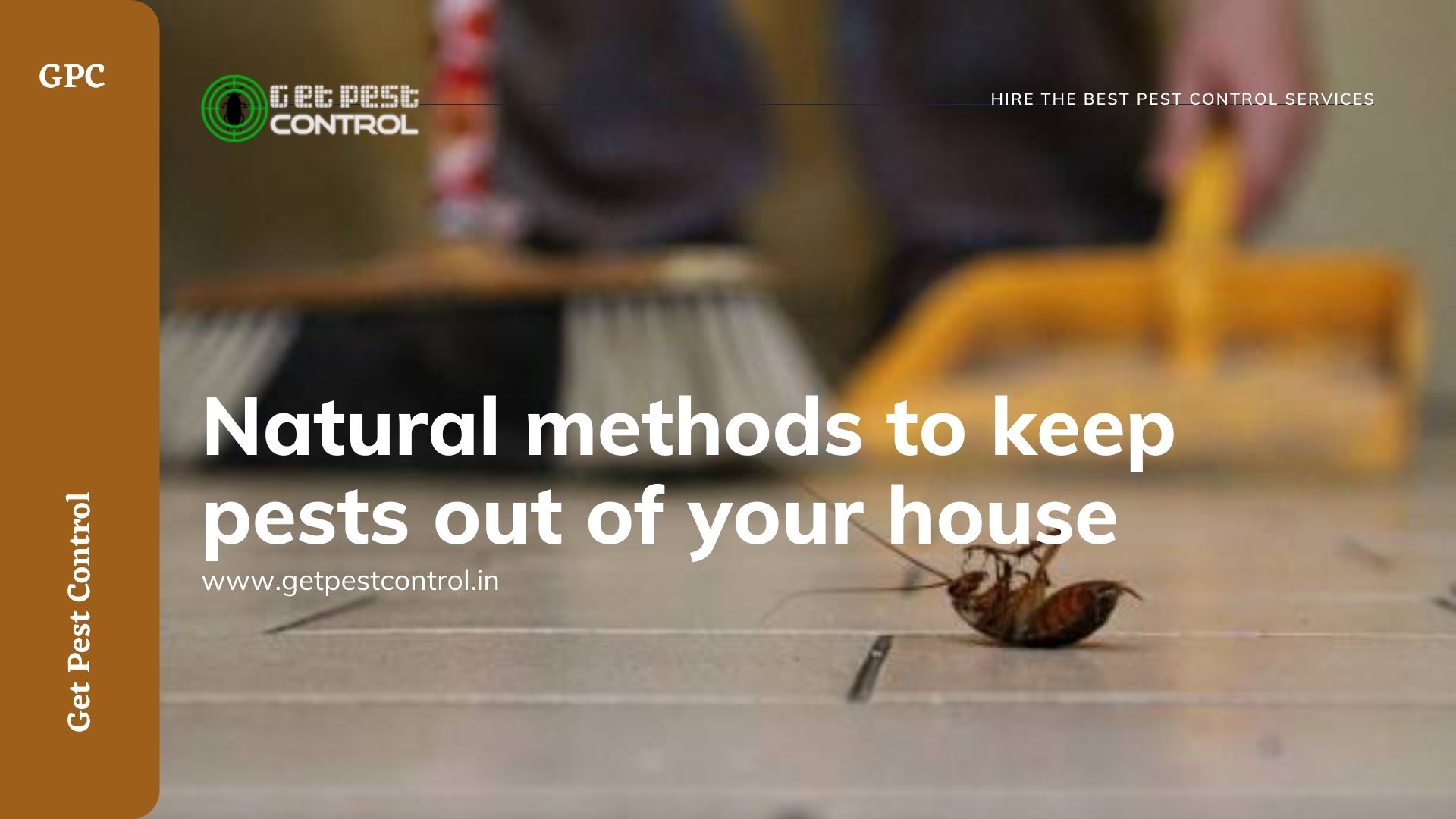Natural methods to keep pests out of your house