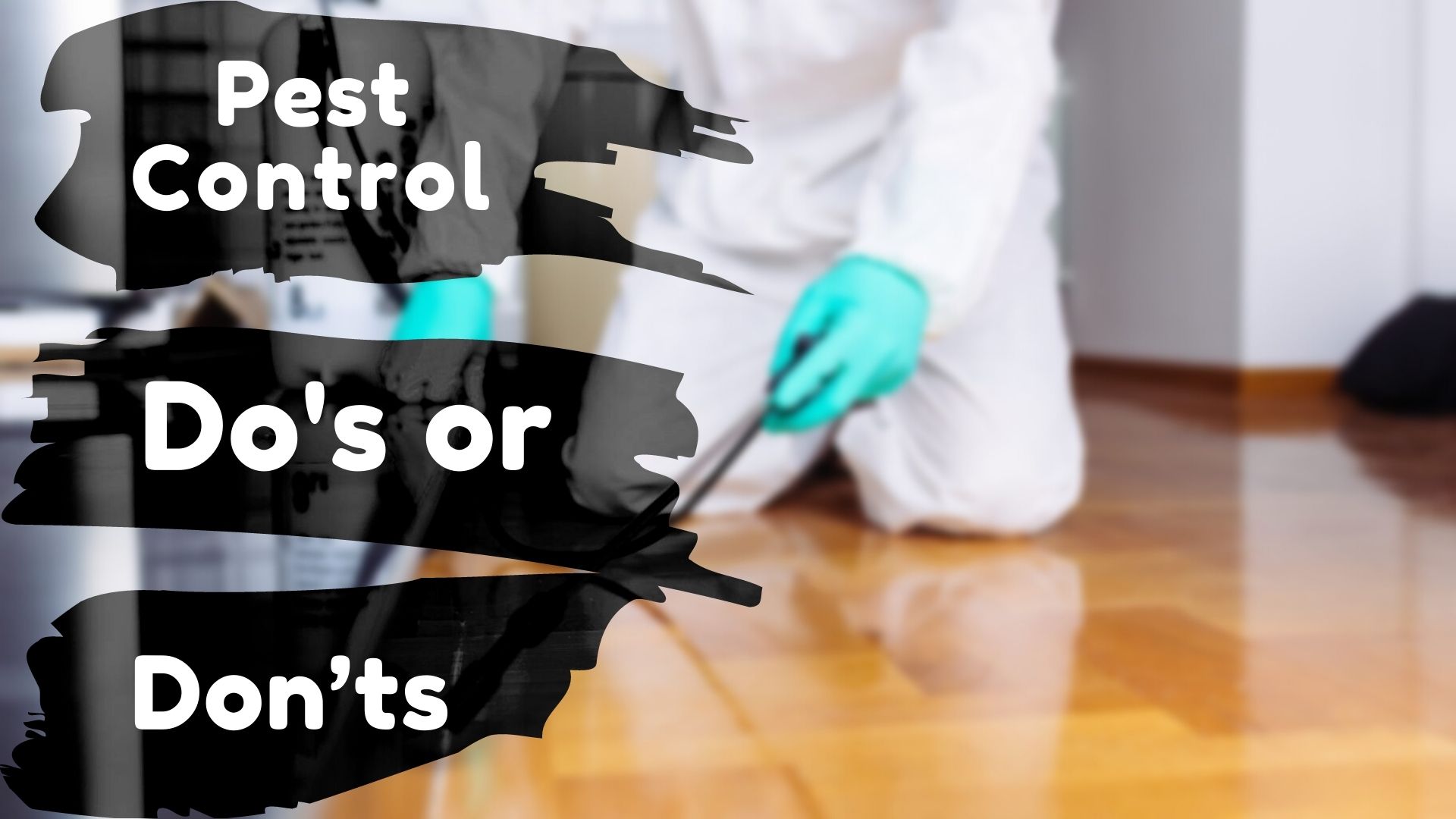Do’s and Don’ts of Pest Control