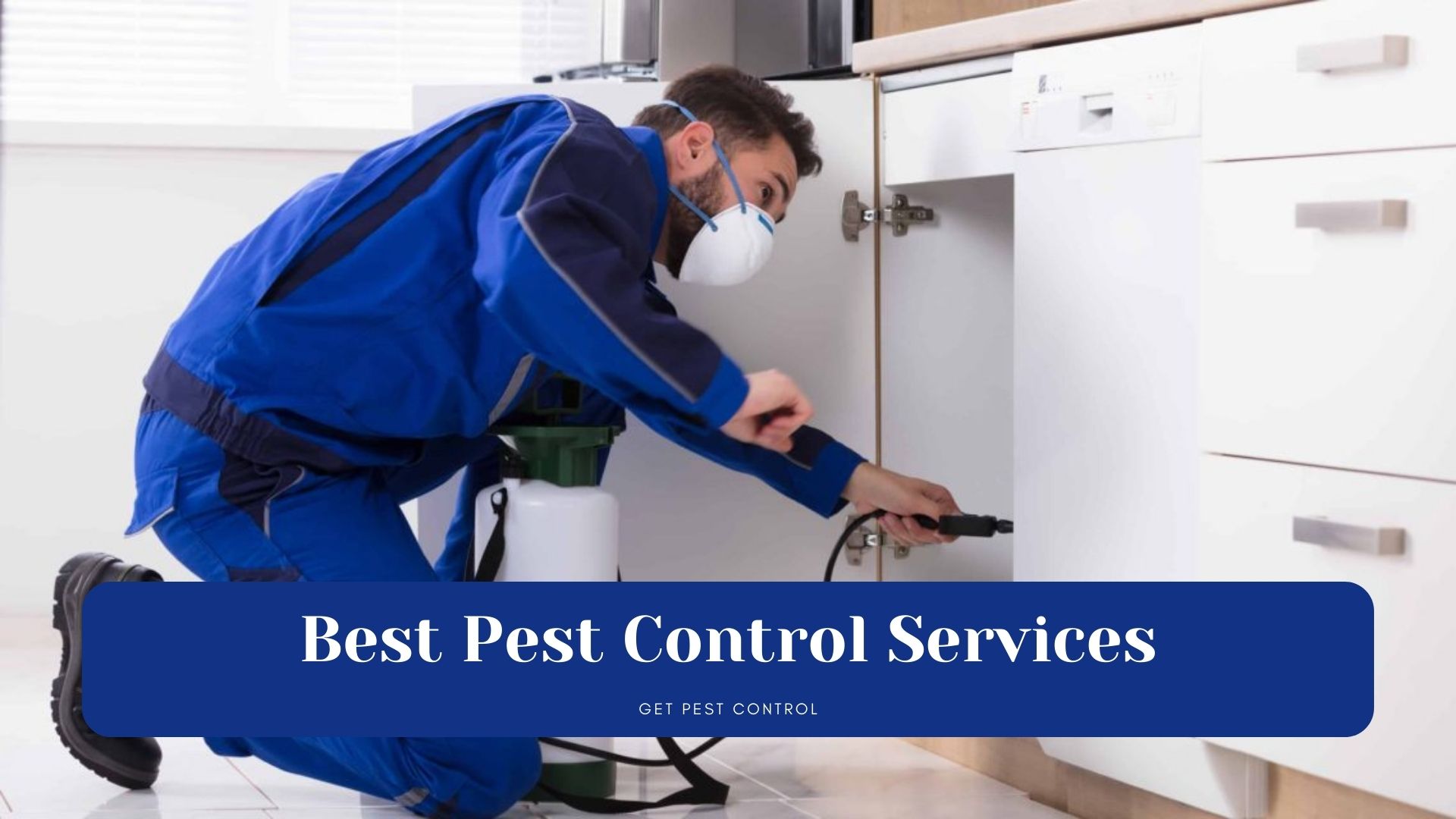 Selecting Best Pest Control Services