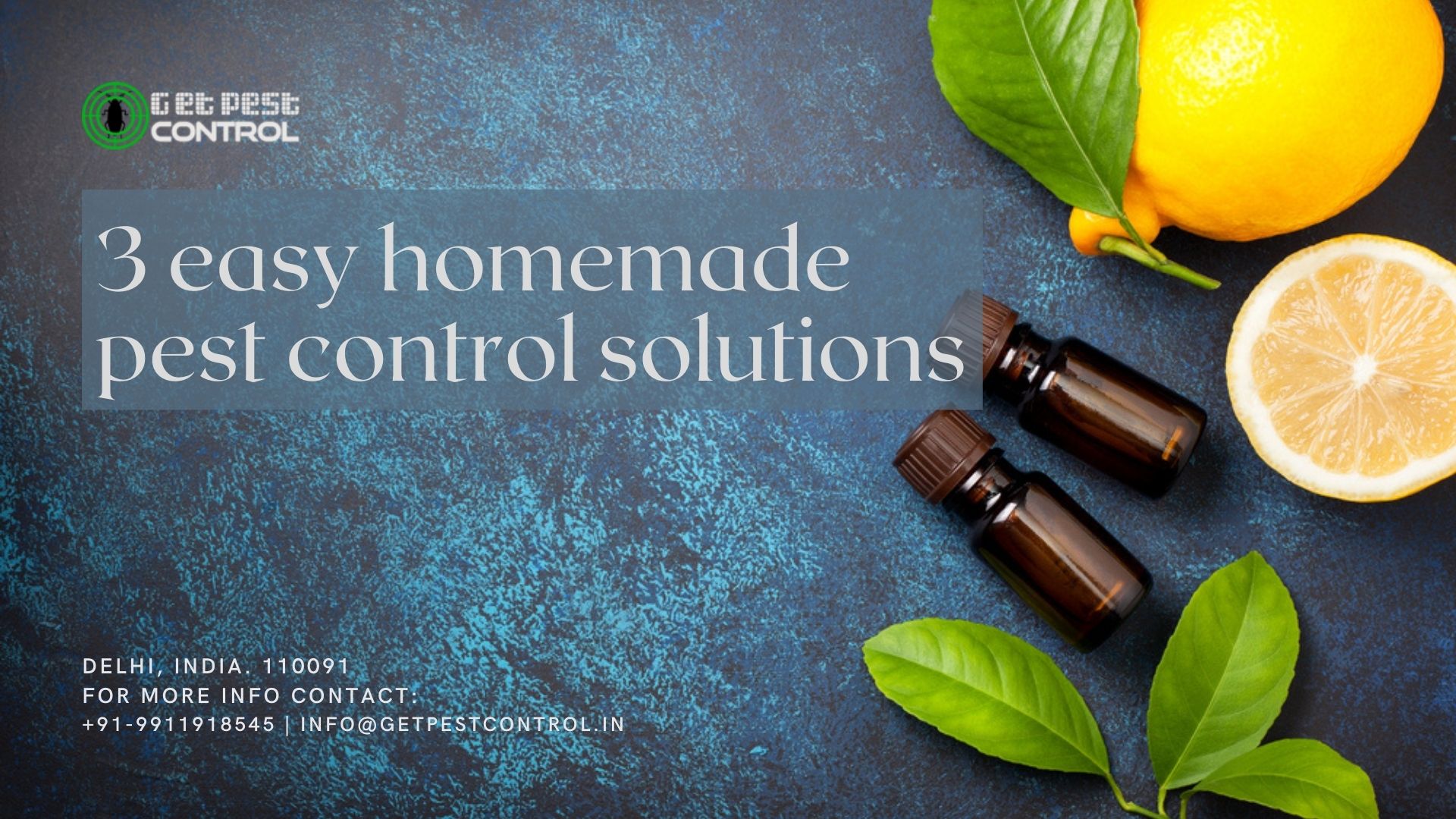 3 easy homemade pest control solutions