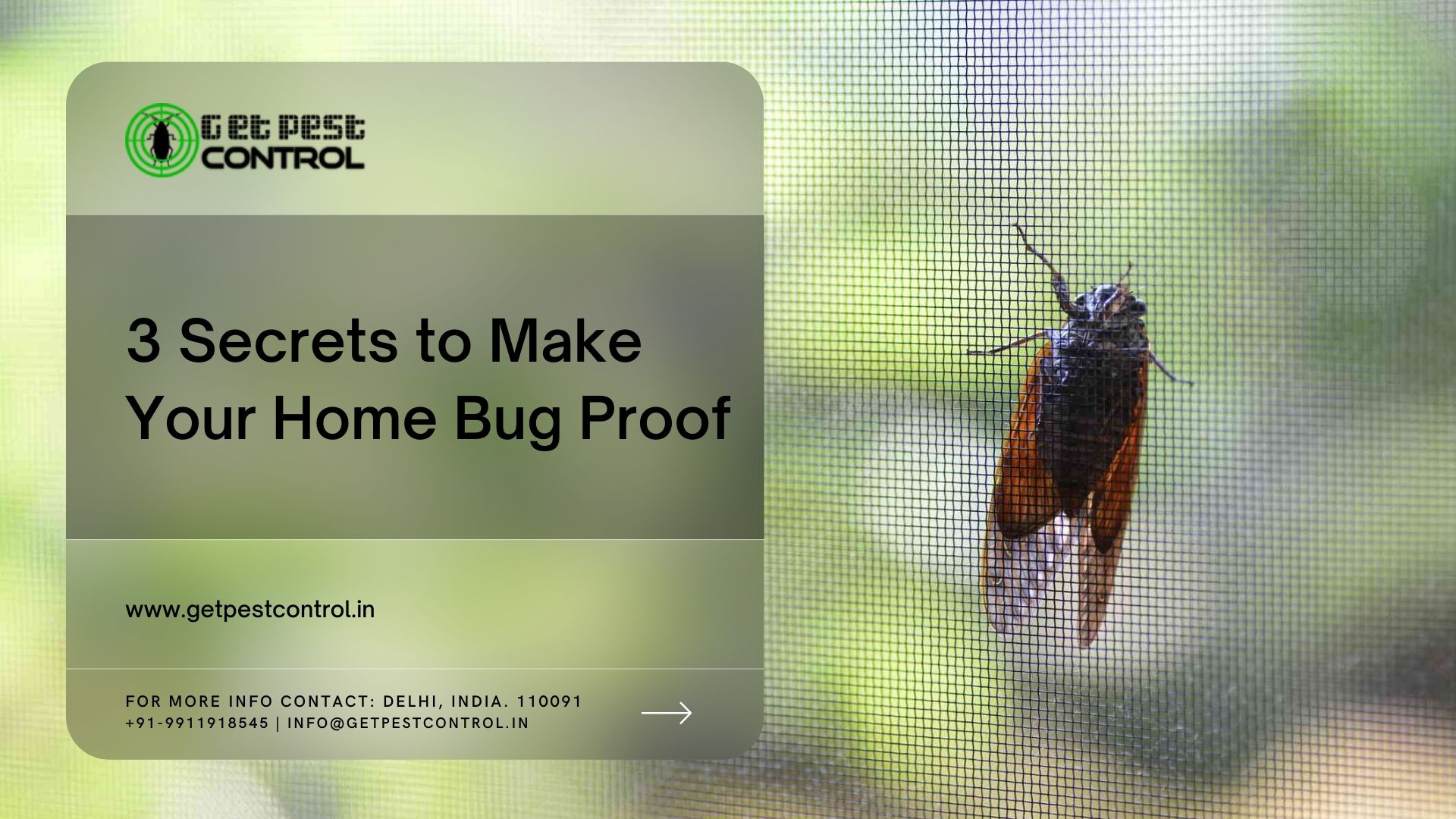 3 secrets to make your home bug proof