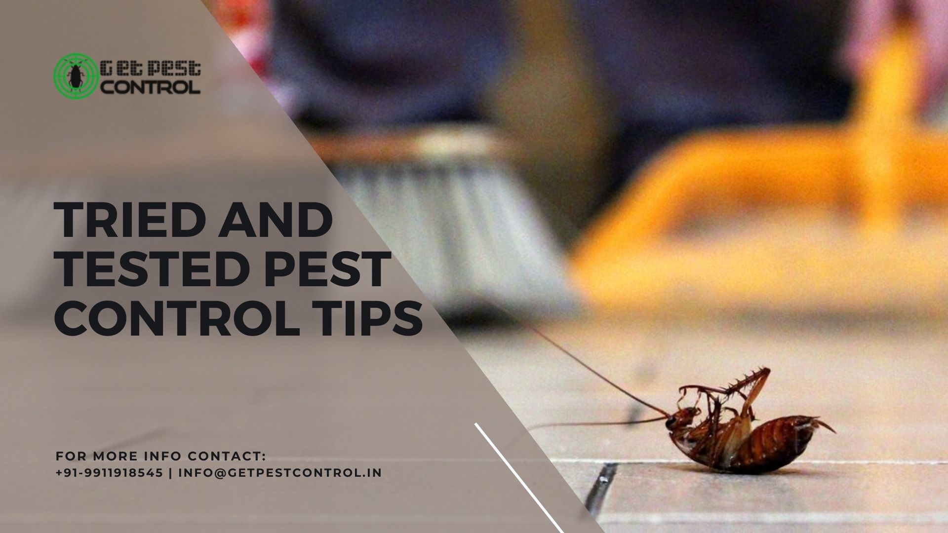 TRIED AND TESTED PEST CONTROL TIPS