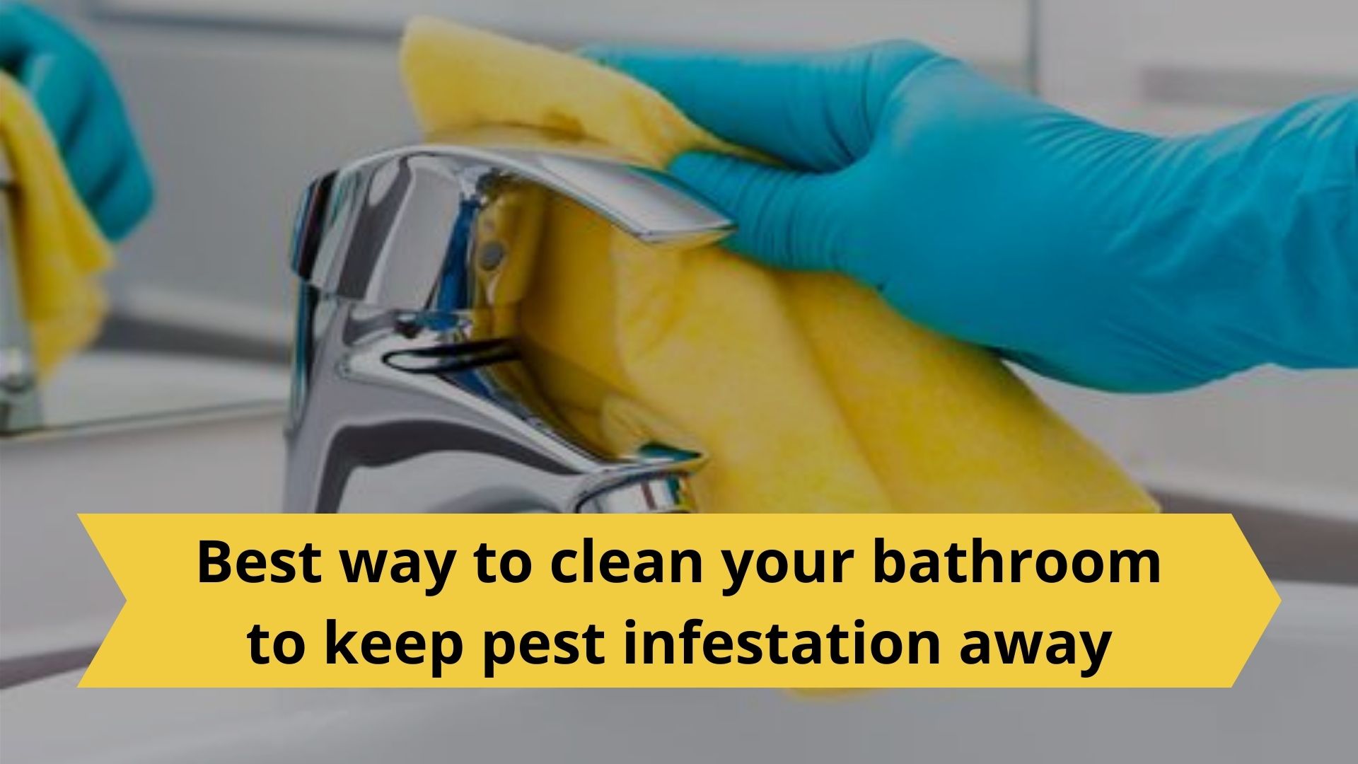 Best way to clean your bathroom to keep pest infestation away