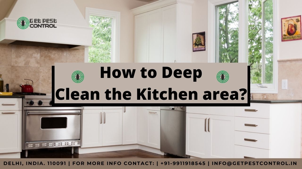 How to Deep Clean the Kitchen area?