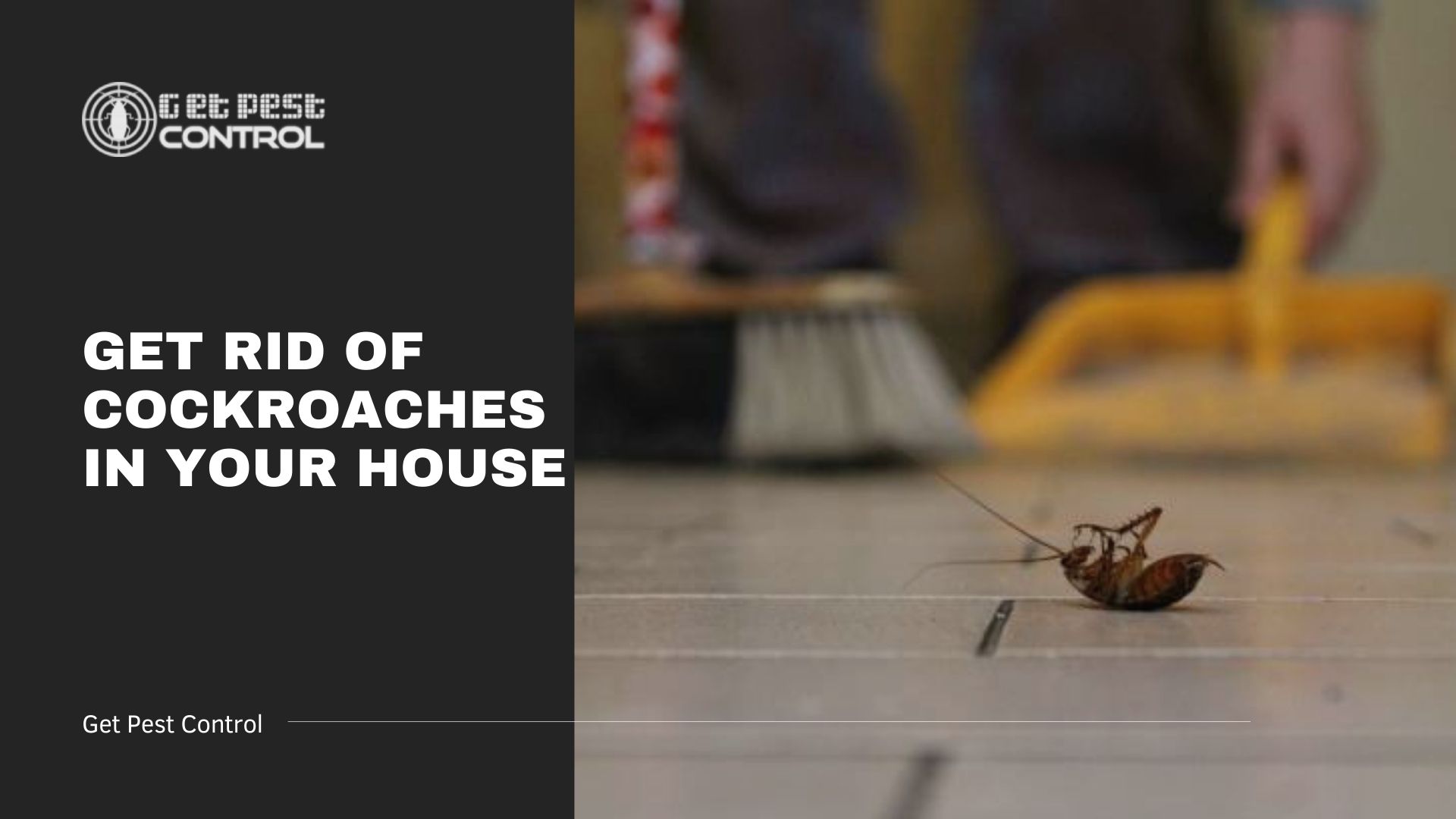 Tips to Get Rid of Cockroaches in Your House