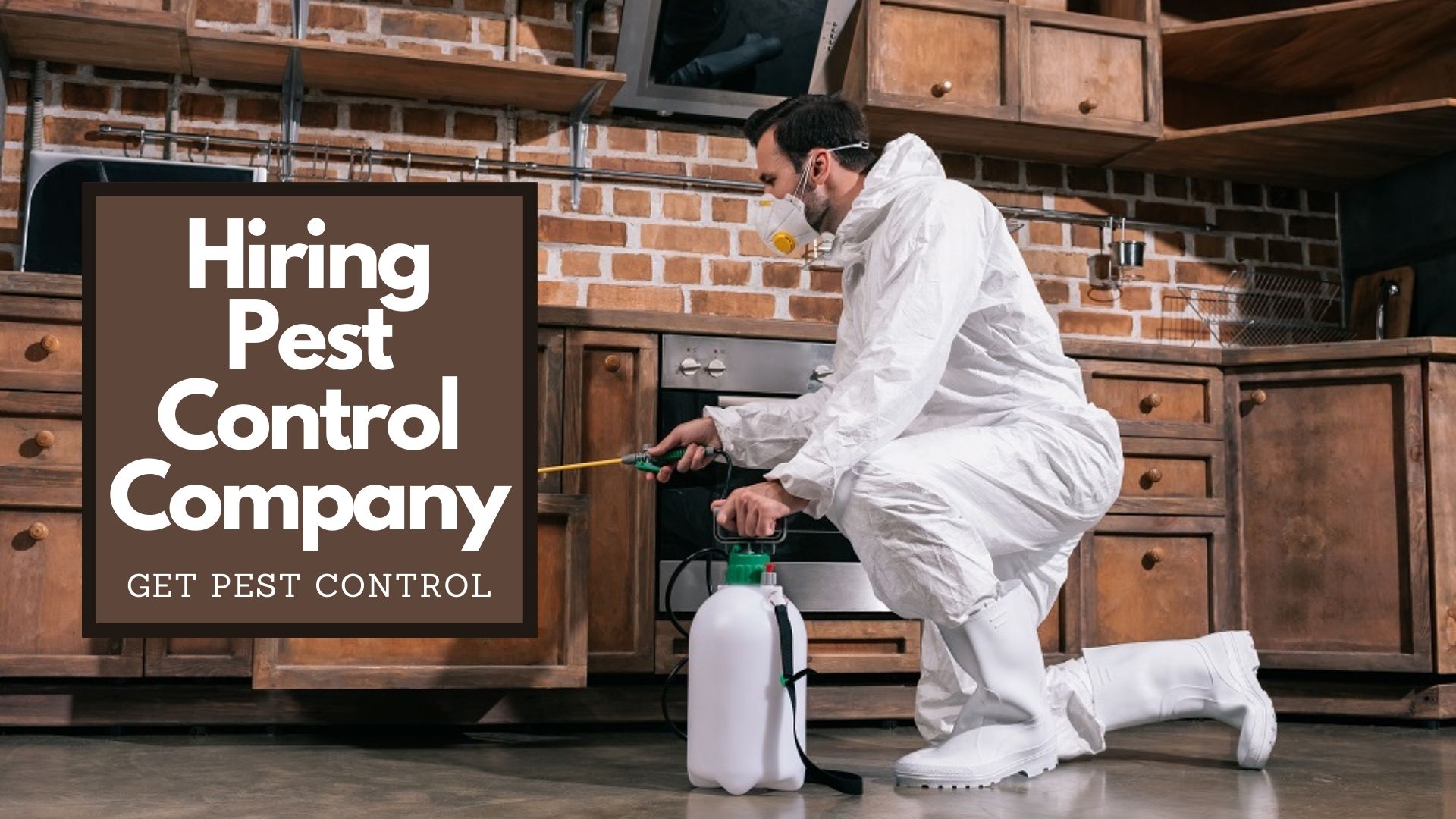 What You Should Know When Hiring Pest Control Company