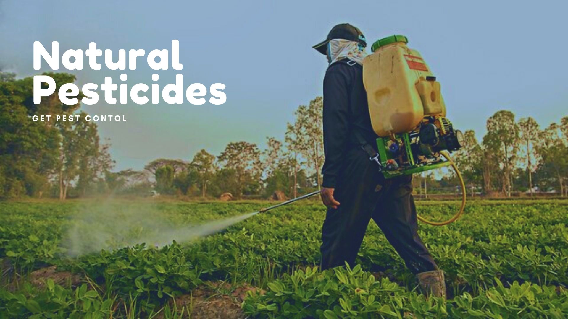 Natural Pesticides: What You Should Know