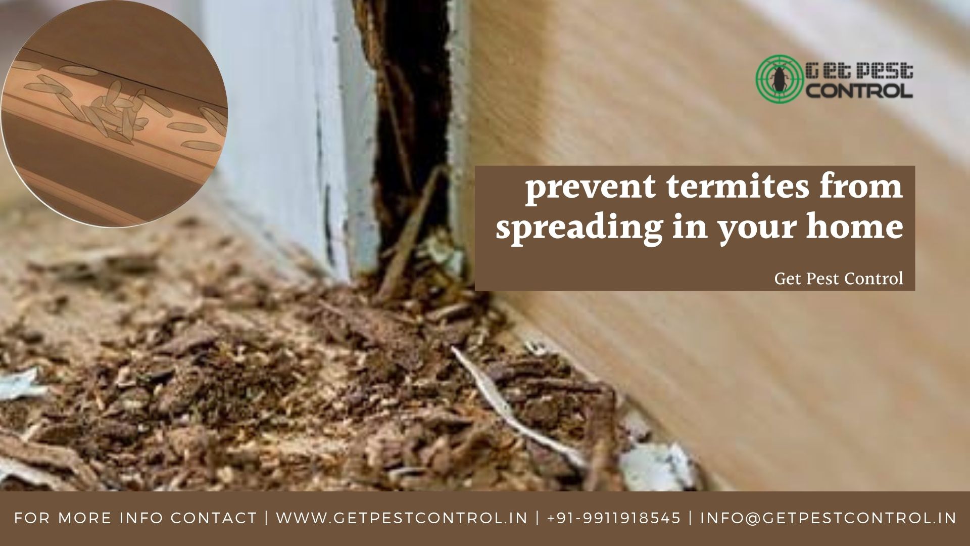 How to prevent termites from spreading in your home