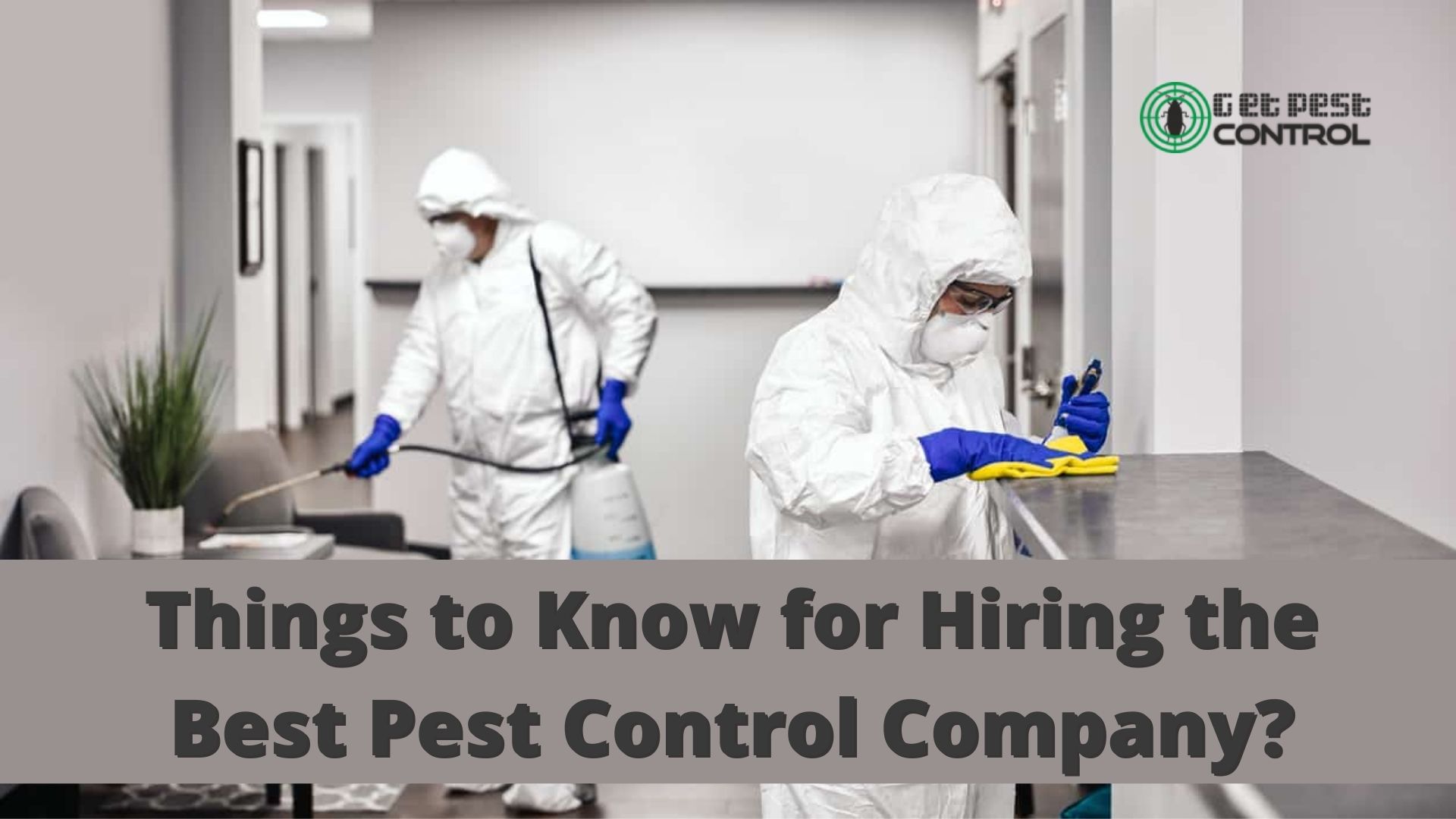 What Are the Things to Know for Hiring the Best Pest Control Company?