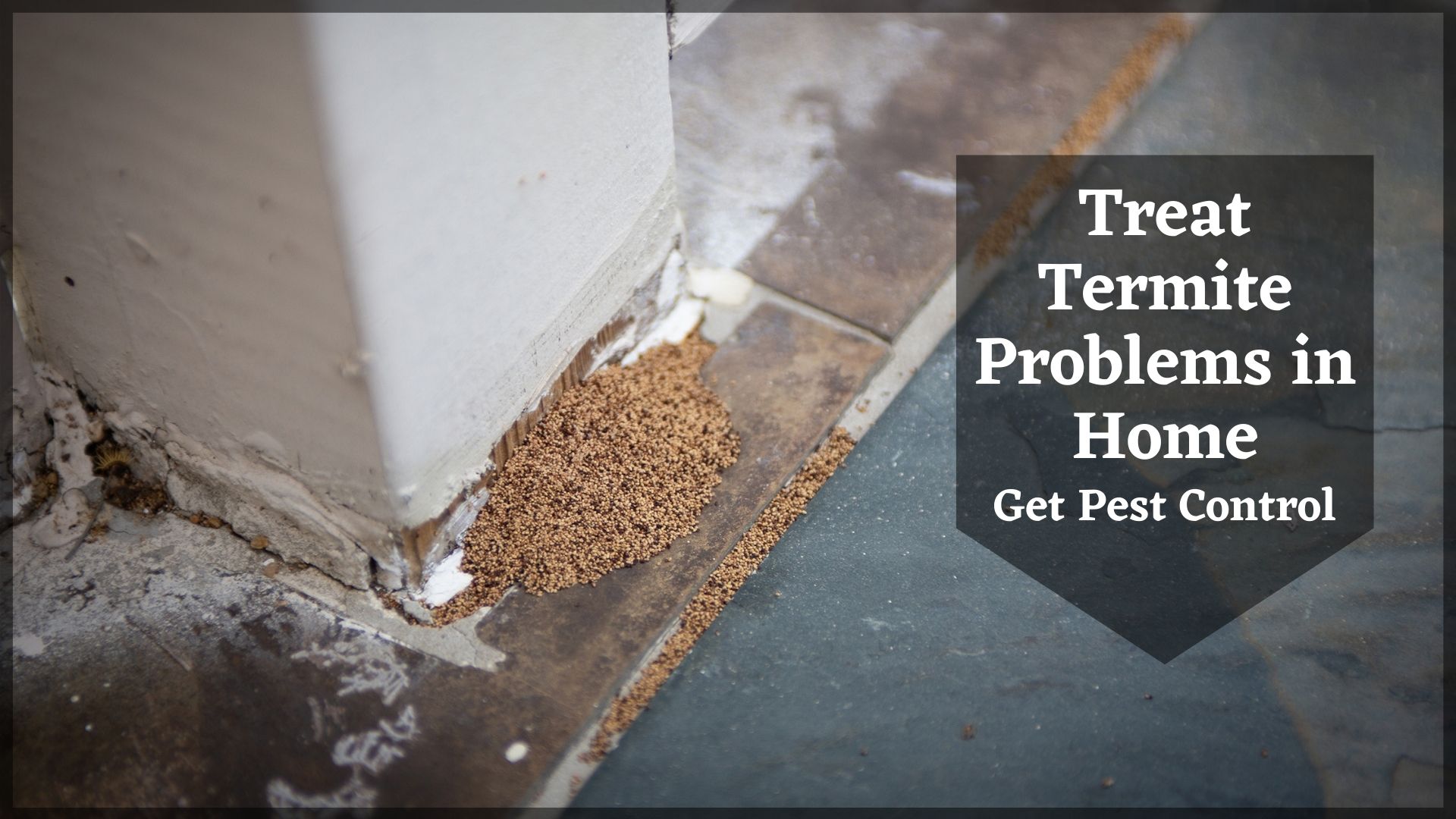 How to Treat Termite Problems in Home