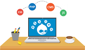 Main Perks of using Drupal Web Development in India