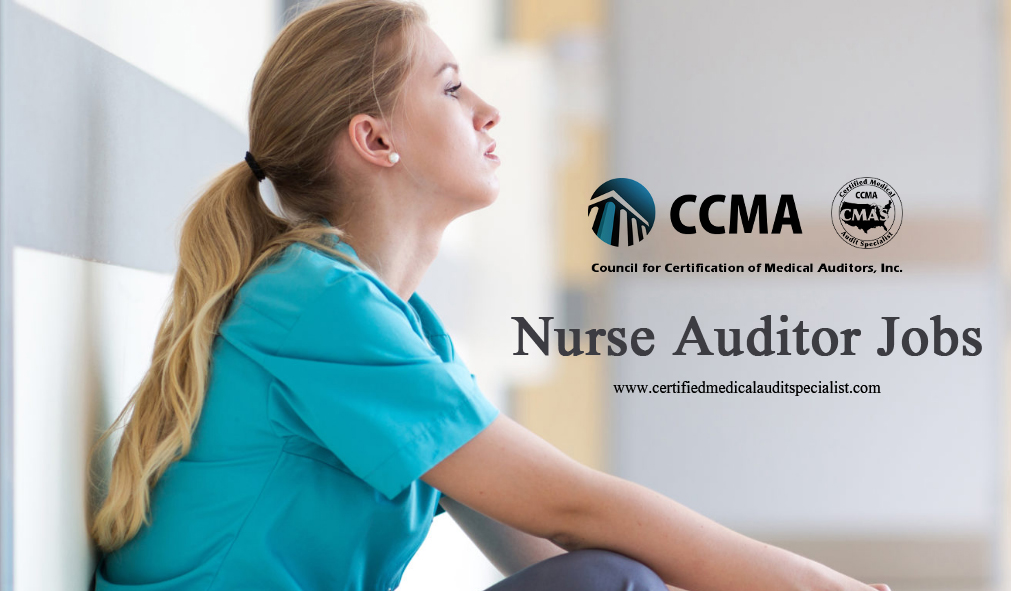 How to Become a Nurse Auditor Jobs