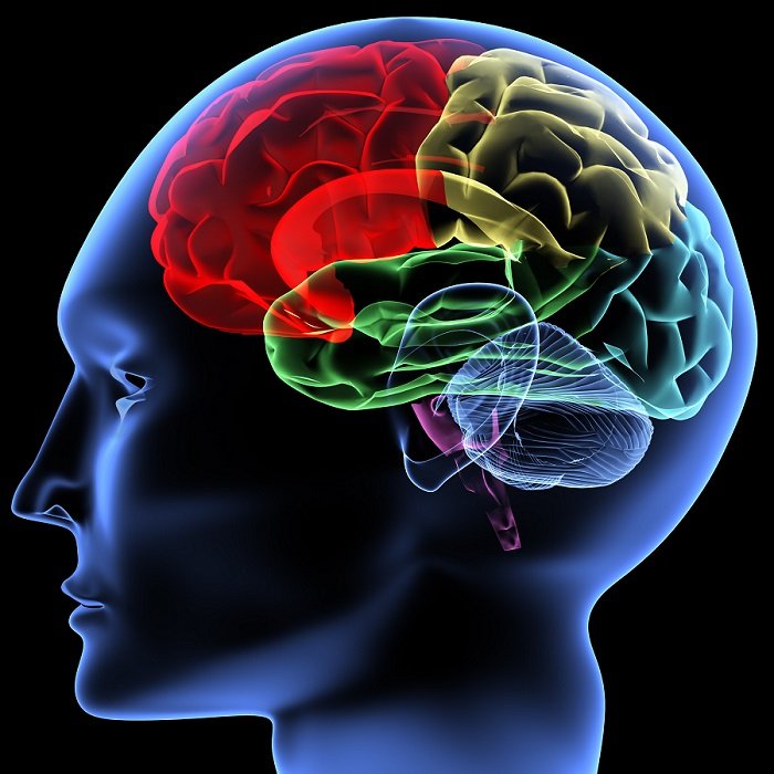 Neuropsychological testing|Center for mental health