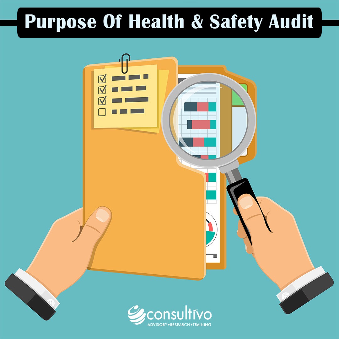 What is the purpose of a health and safety audit?