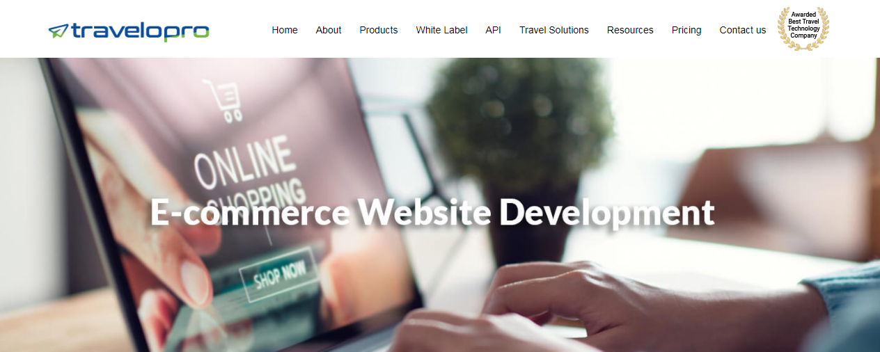 Ecommerce Website Development 